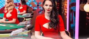 x19 casino